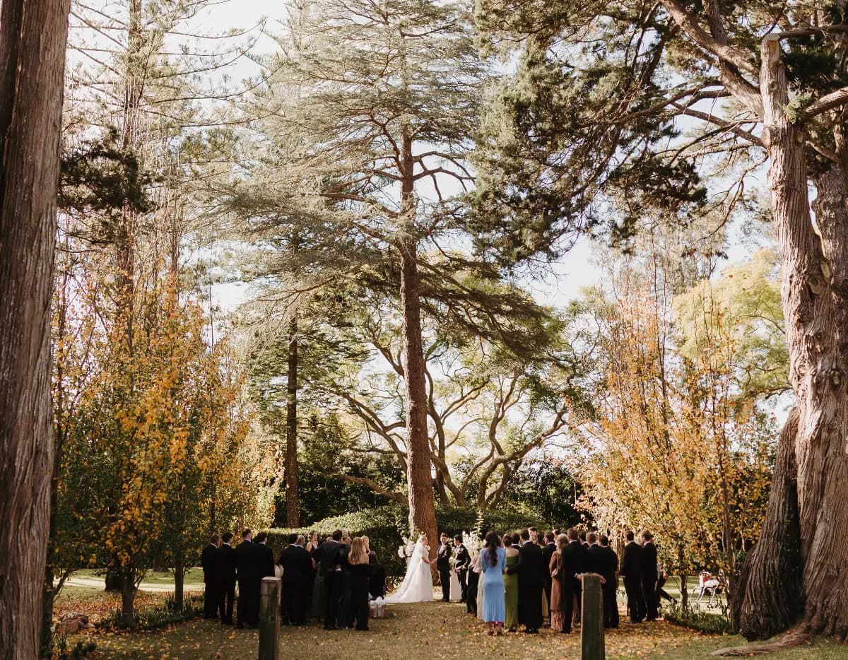 Autumn colours wedding ceremony