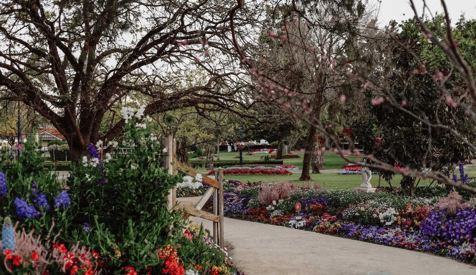 A serene garden scene featuring a path lined with colorful flowers, including red, purple, and white blooms. Mature trees with budding leaves and branches arch over the walkway. In the distance, people can be seen enjoying the scenic green space.