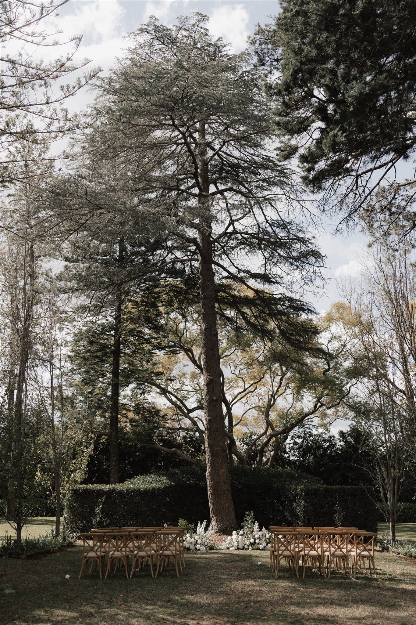 Wedding ceremony under tree