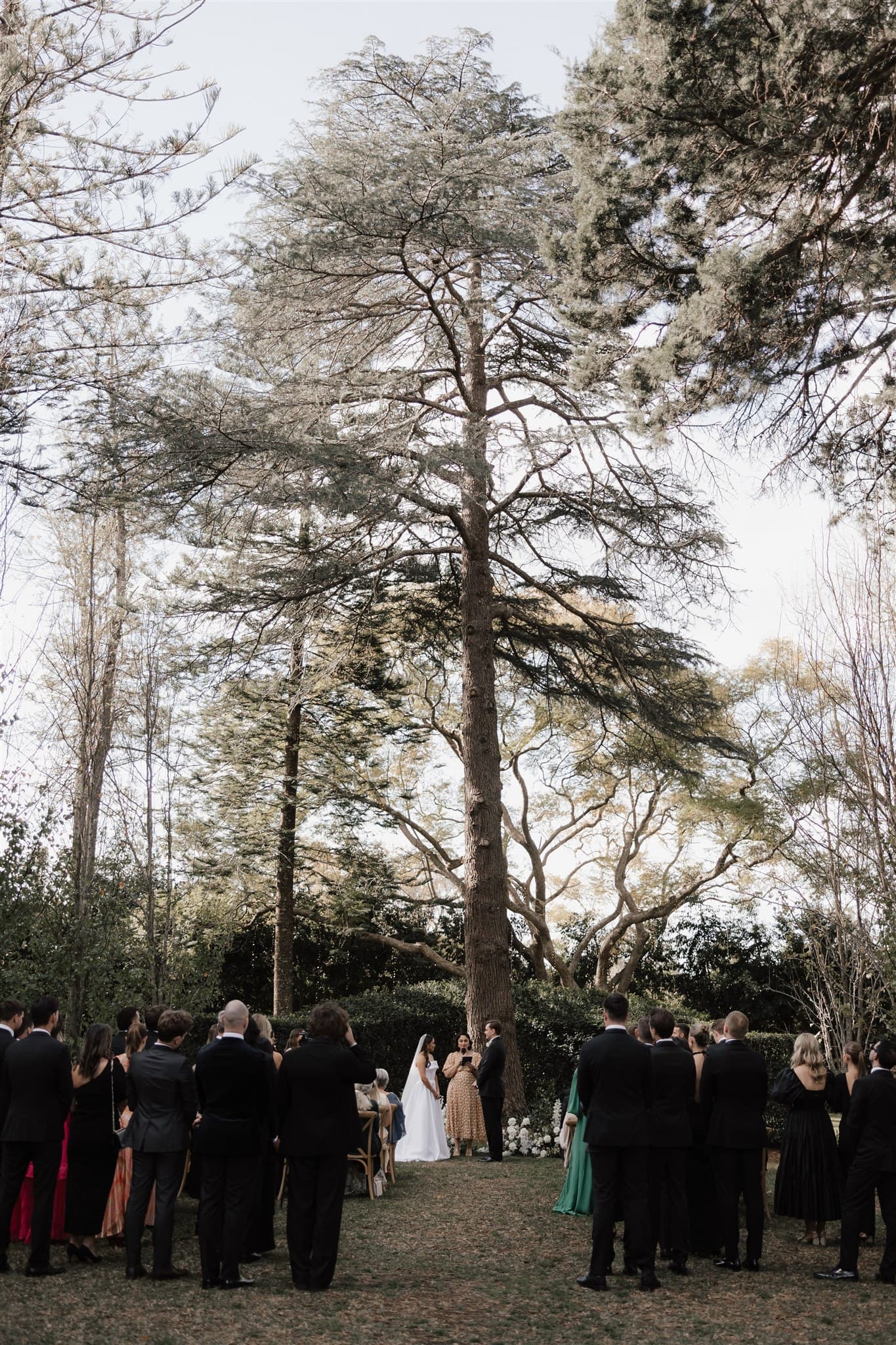 Bride and groom getting married under tree
