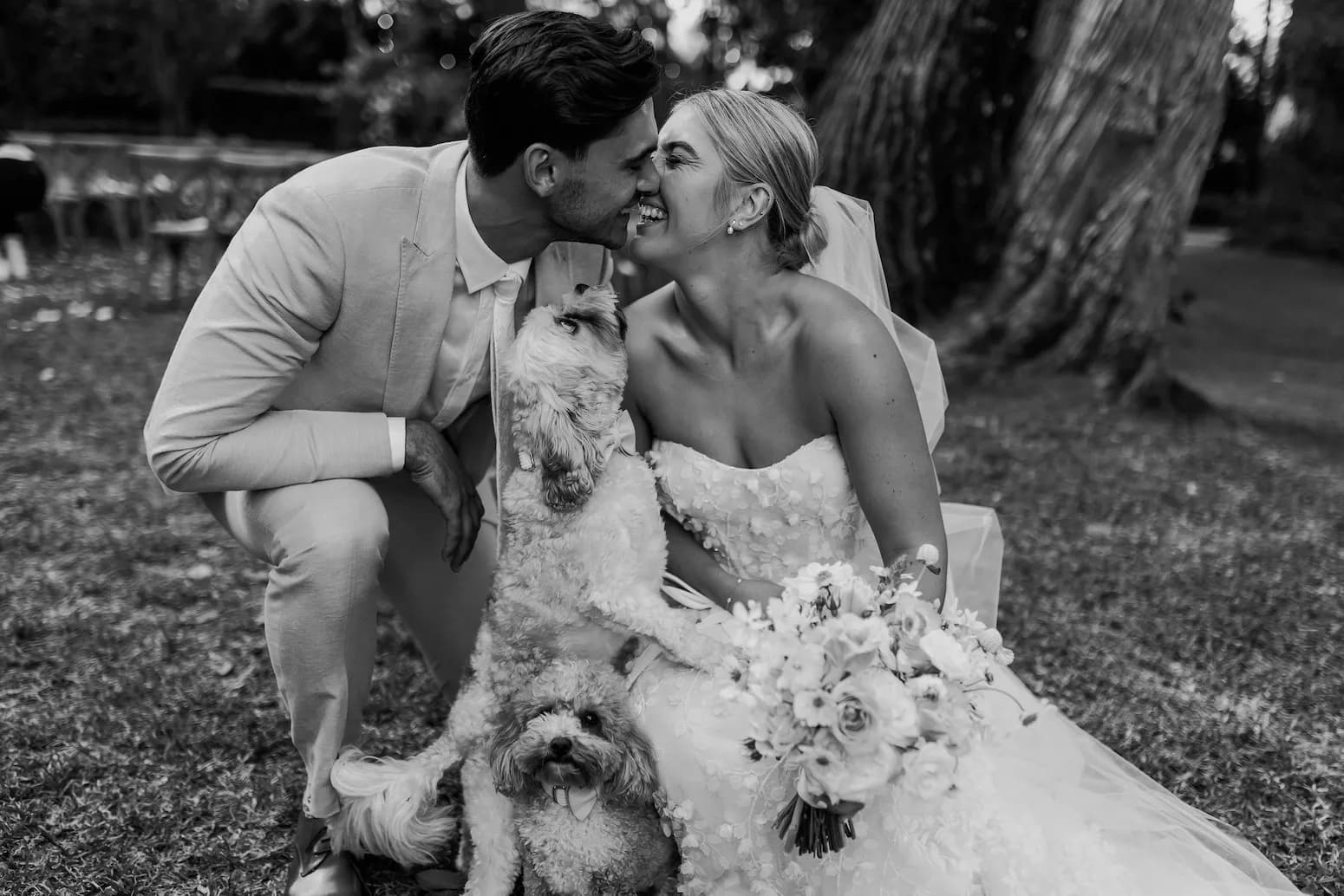 Bride and groom holding two poodles