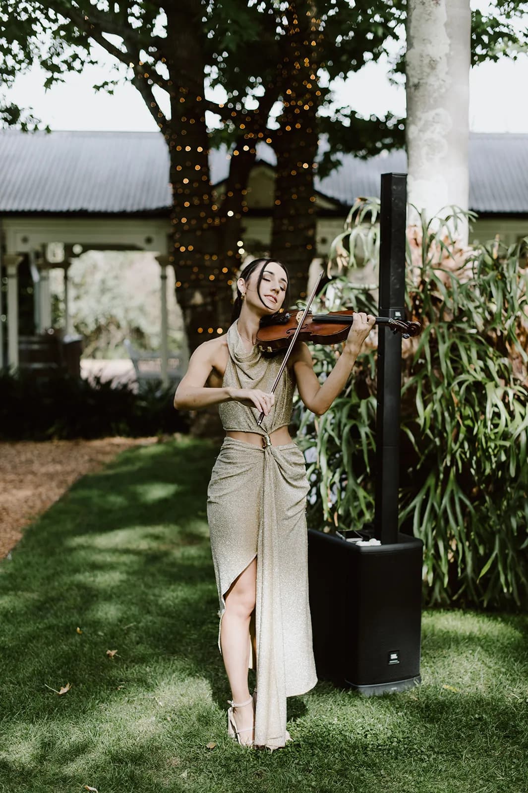 Violin player in gardens