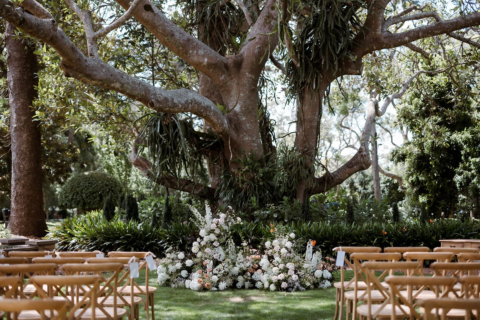 Outdoor wedding ceremony under tree
