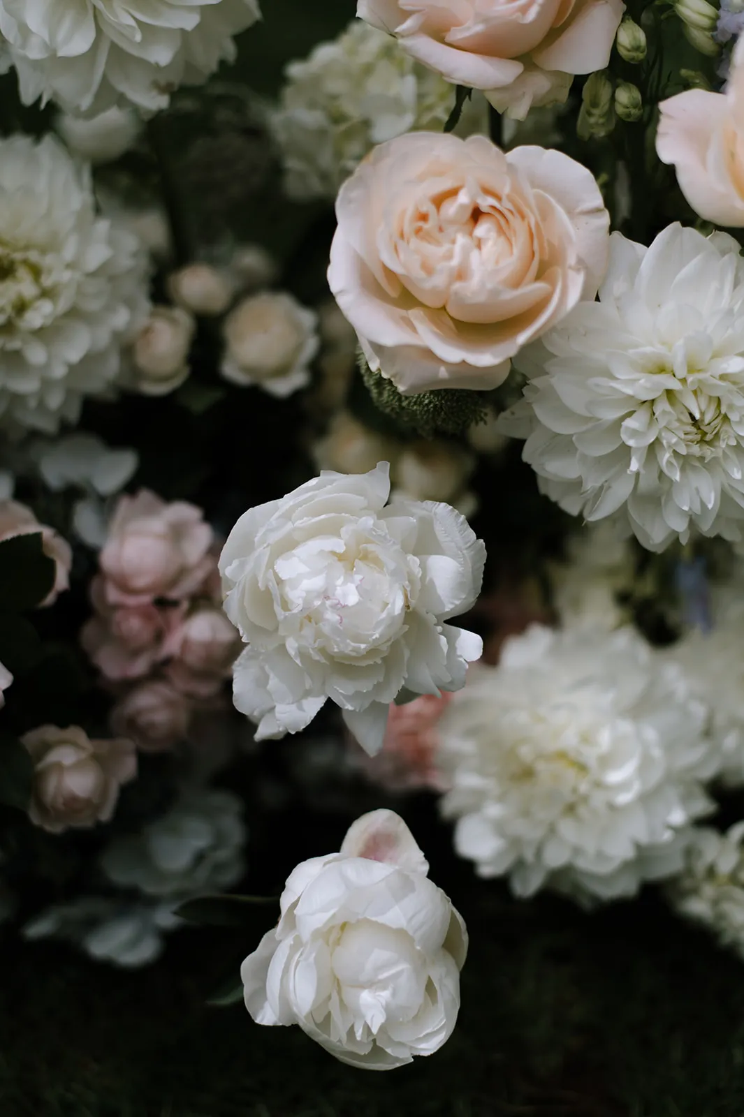 An assortment of delicate, blooming flowers including white and pale peach roses, all captured from a close-up angle. The lush petals and soft hues create a serene and beautiful floral display.