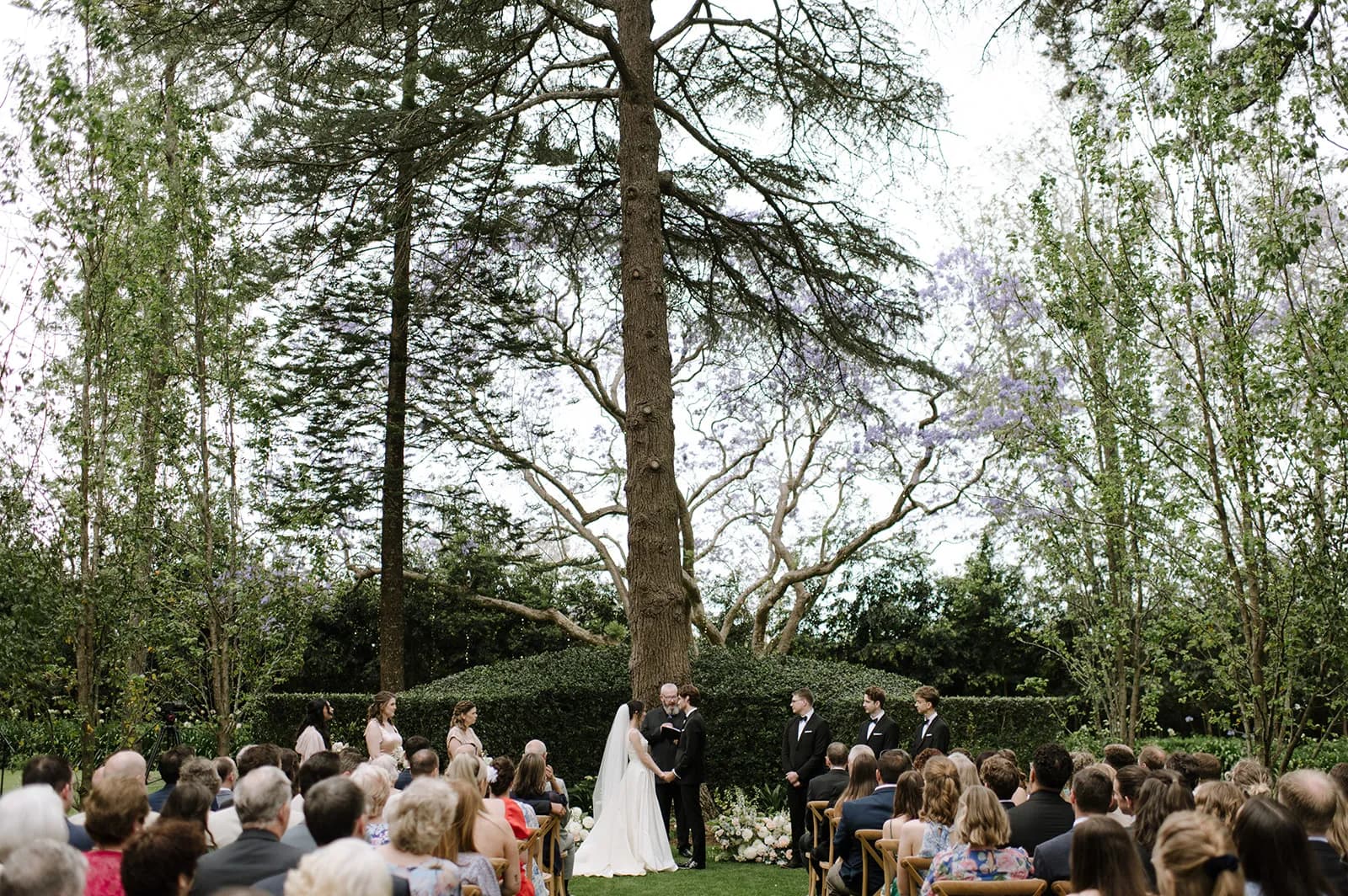 A wedding ceremony is taking place outdoors among tall trees. The couple stands at the altar in front of a large tree, with guests seated on either side. Bridesmaids and groomsmen stand on either side of the couple. The sky is cloudy.