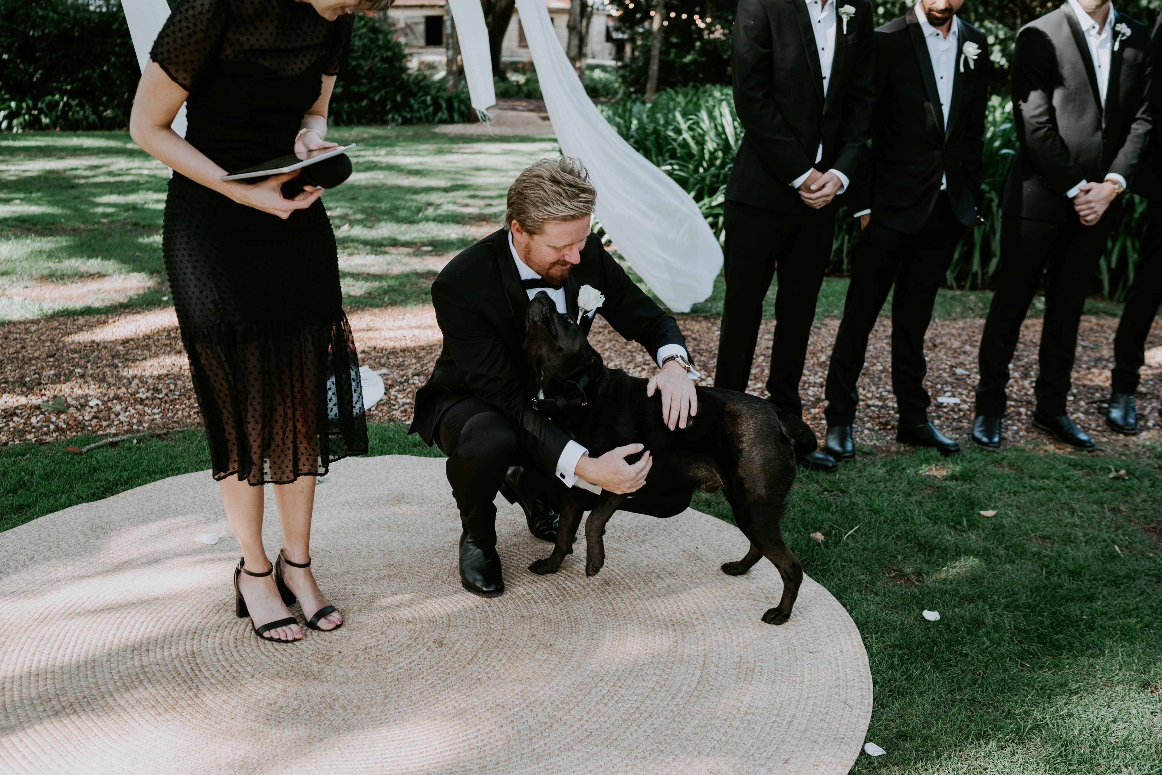 Groom patting dog