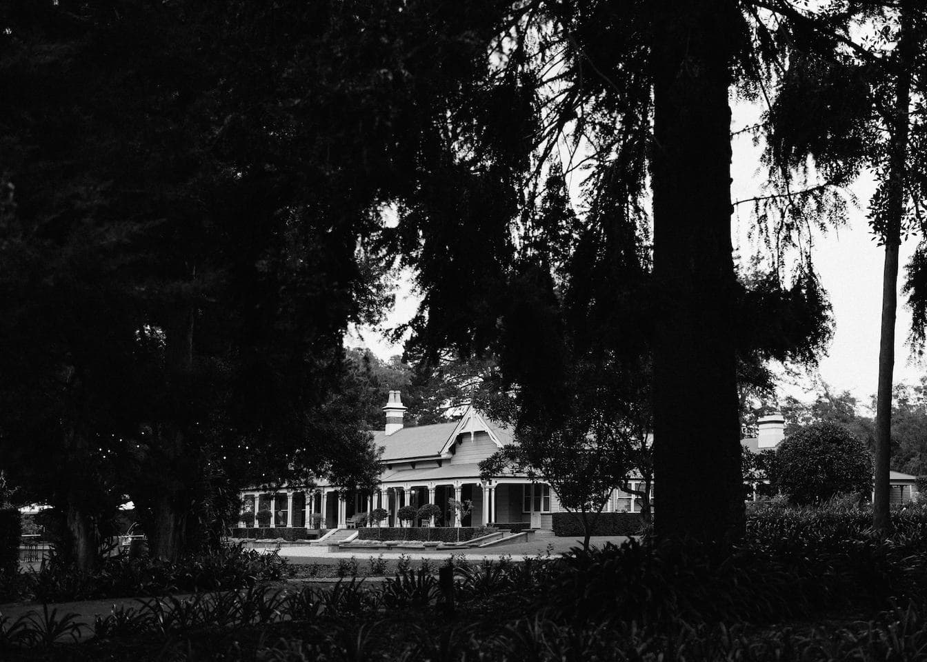 A black and white image of a large house with a porch, partly obscured by tall, dense trees and foliage in the foreground. The landscape surrounding the house is lush and verdant, creating a serene and secluded atmosphere.