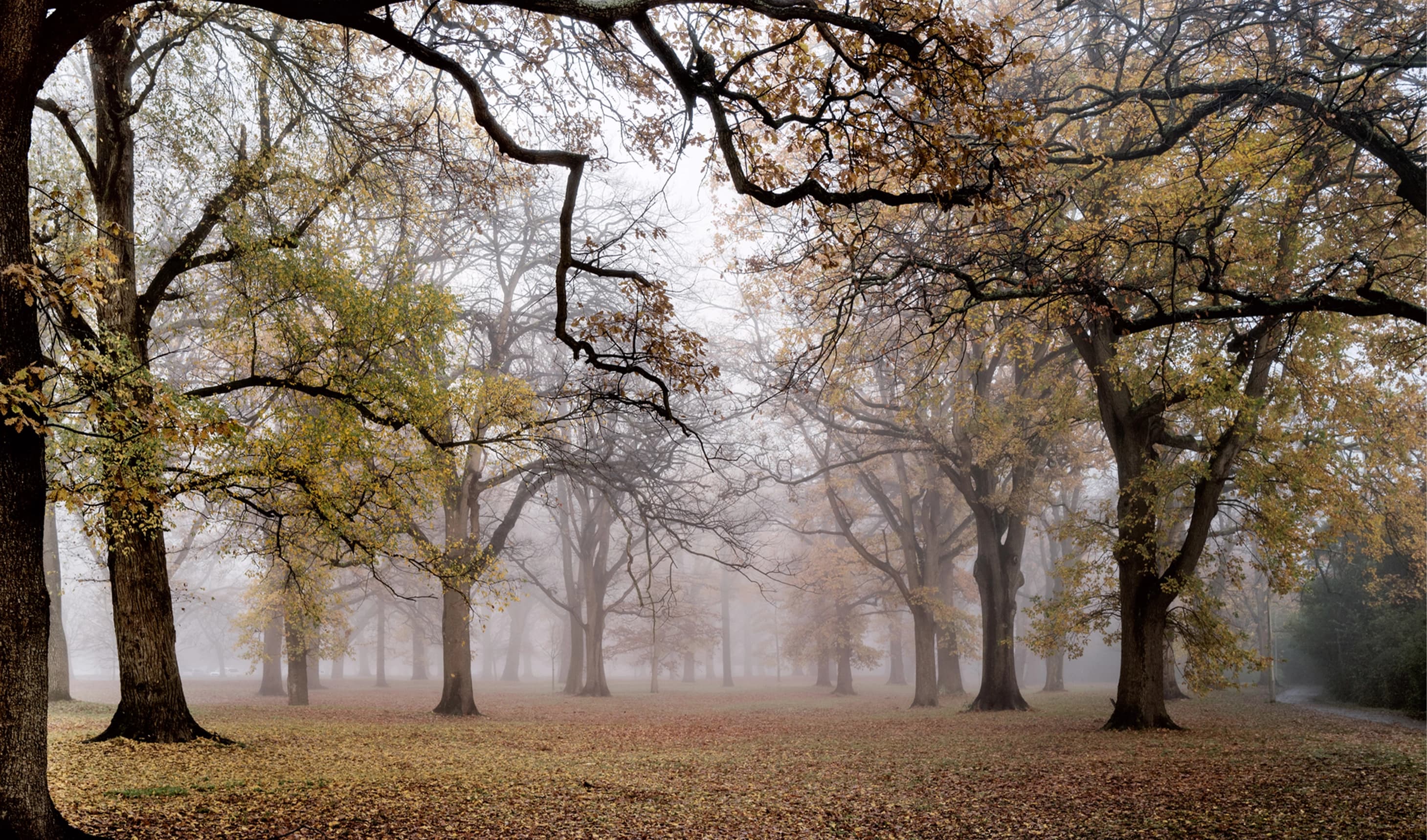 Queens Park in winter