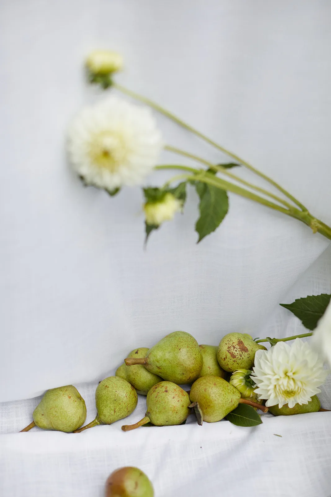 Pears and flowers